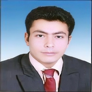 Ahmed Mahdy Hamed Haggar