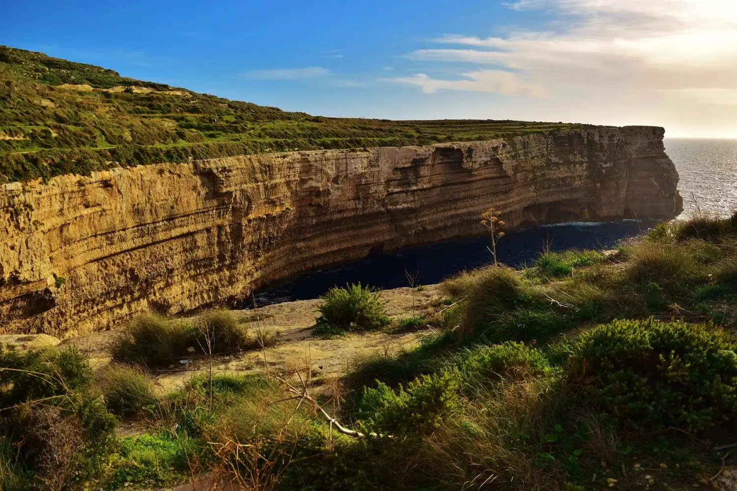 Torrey Pines State Natural Reserve